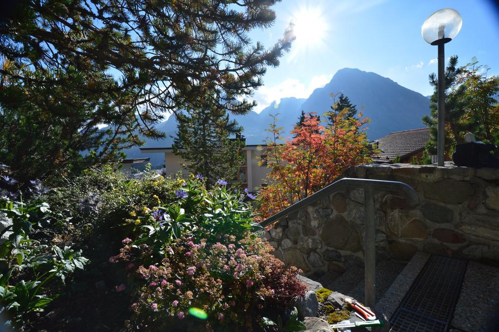 Gentiana C7 * Arosa